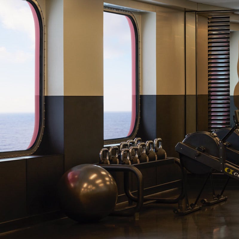 Dumbbells and big ball at gym with ocean view