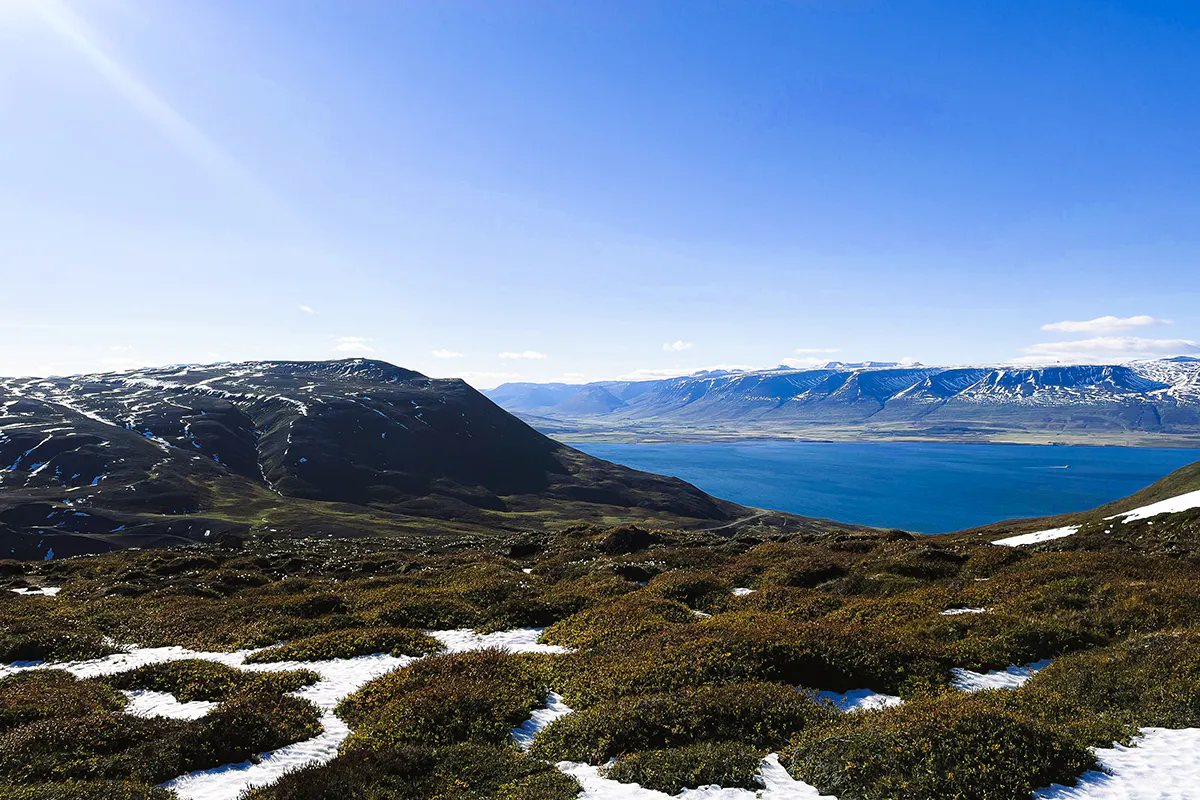Fish and Beer Tasting Walking Tour