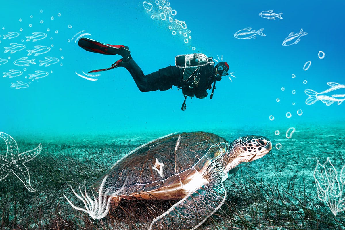 Abades Scuba Diving Adventure