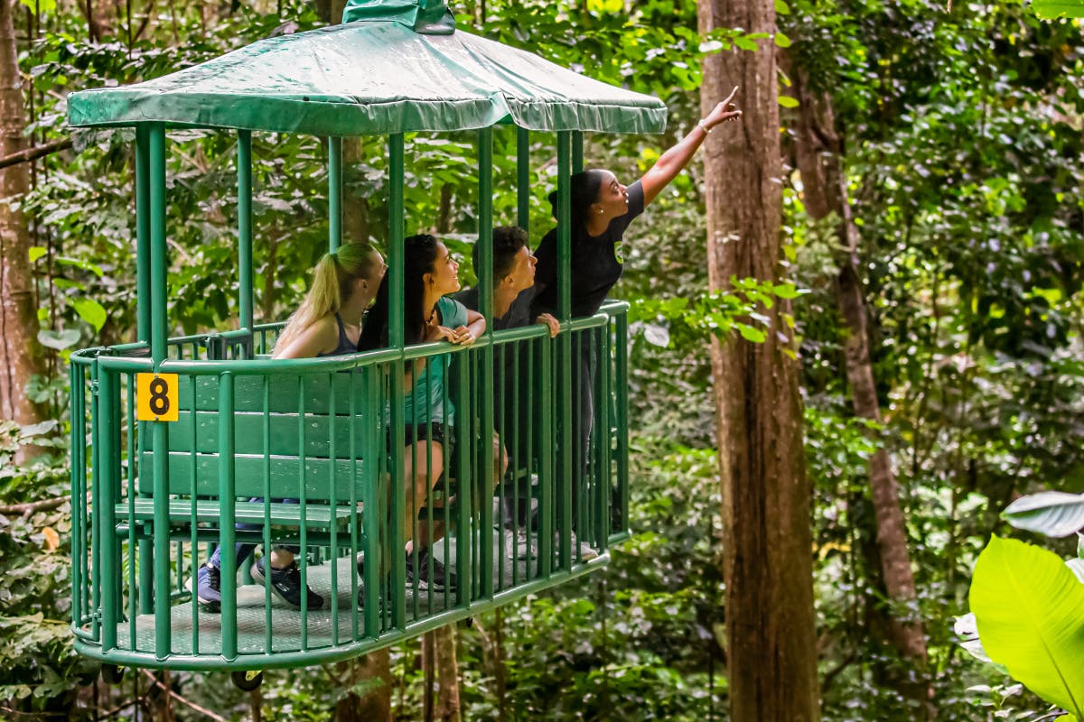Aerial Tram and Zipline