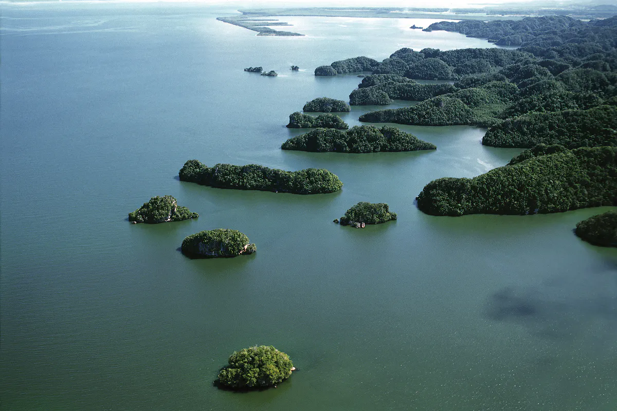 Cave & Mangrove Exploration