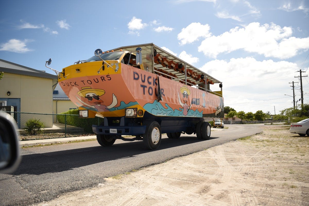 Splash & Dash: The Ultimate Duck Boat Adventure