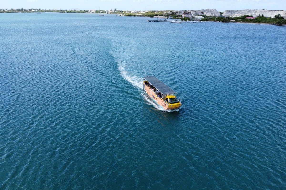 Splash & Dash: The Ultimate Duck Boat Adventure
