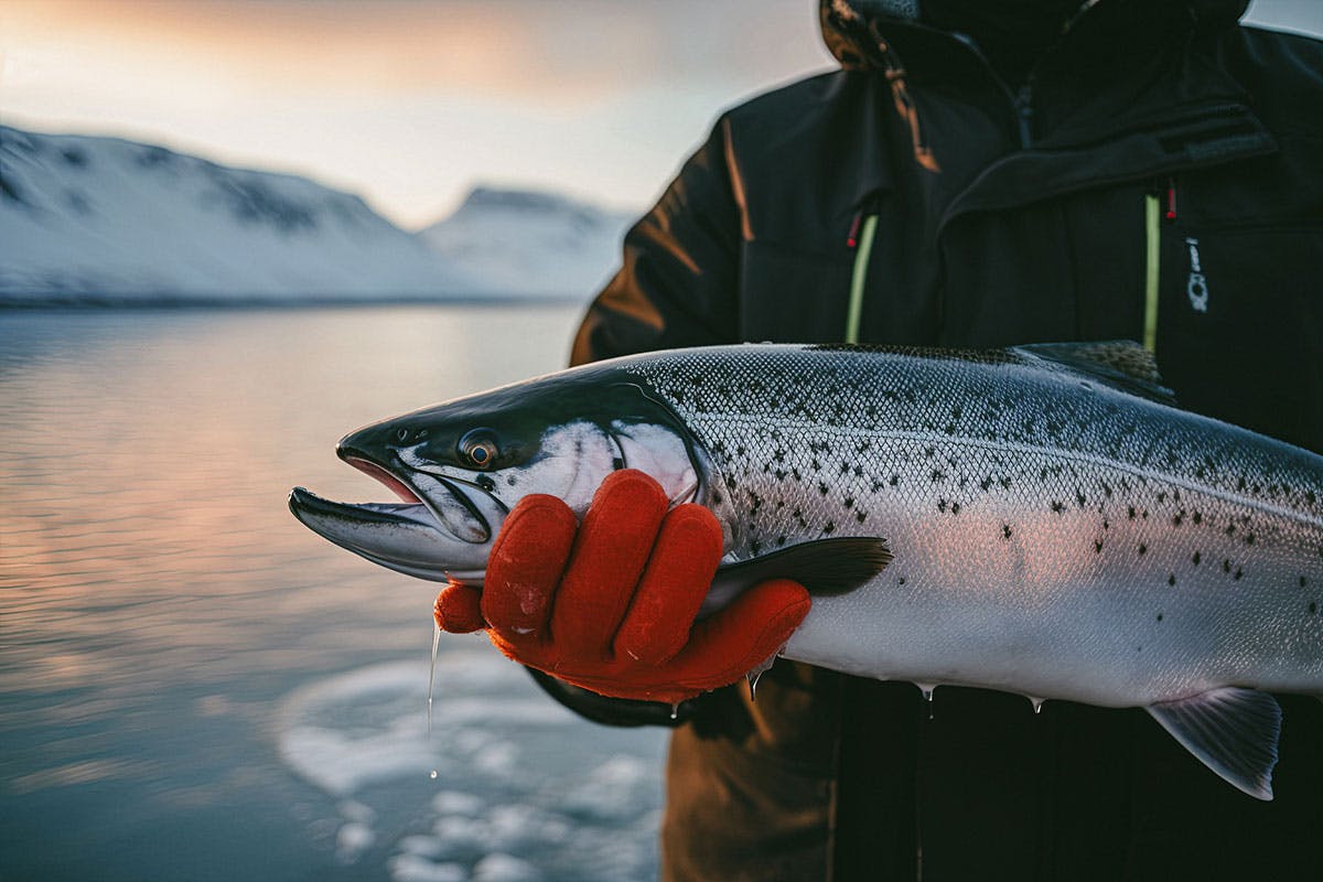 Sip 'n' Snack in Sitka