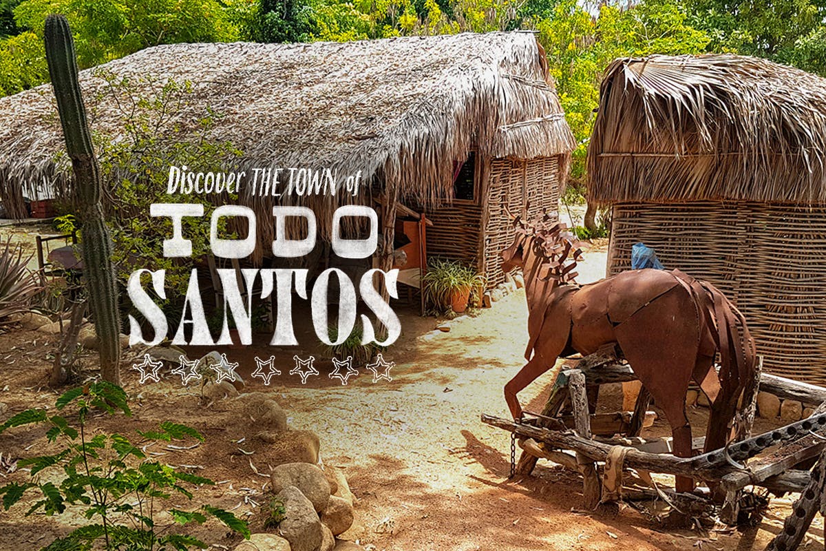 Discover the Town of Todos Santos