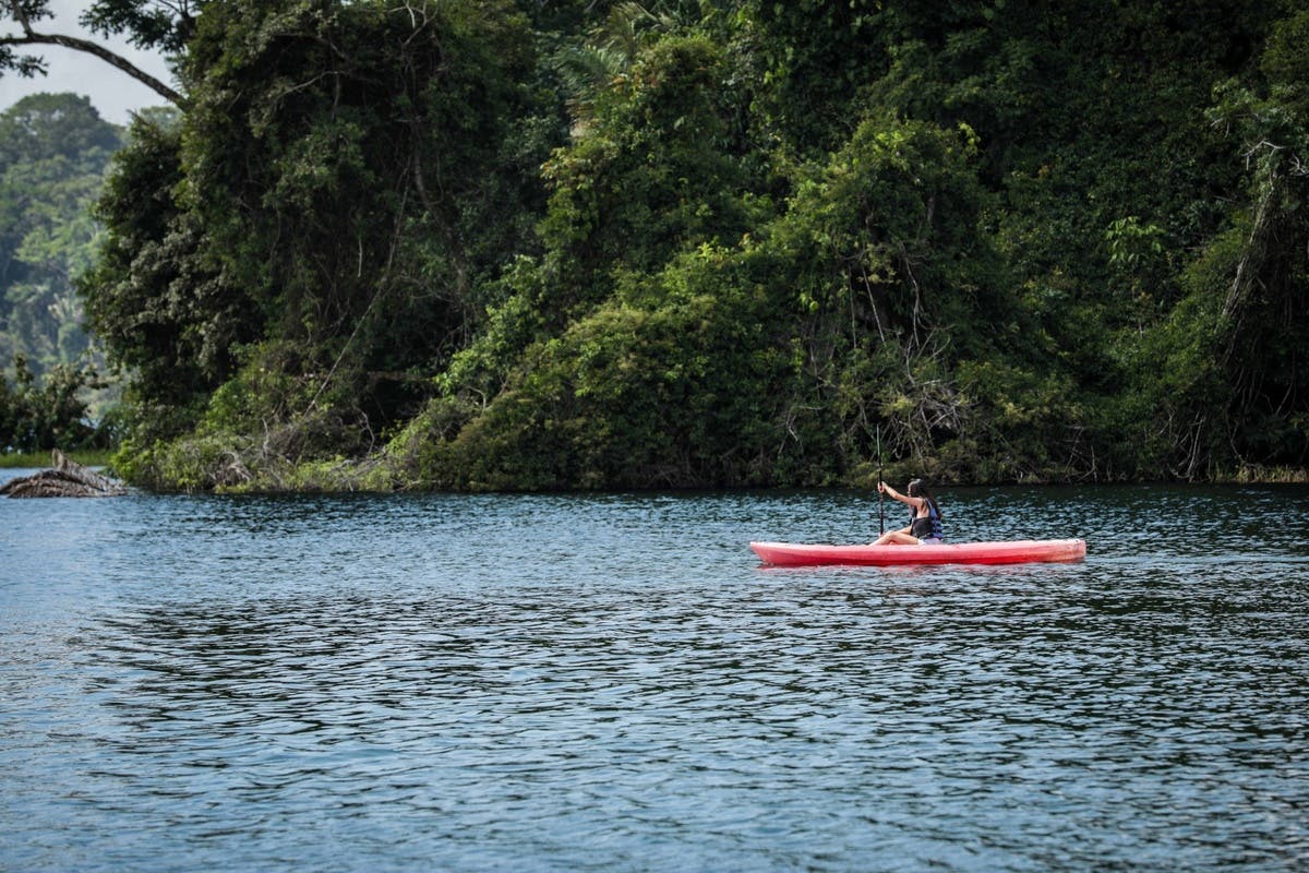 Kayaking on Gatun Lake & Panama Canal Locks