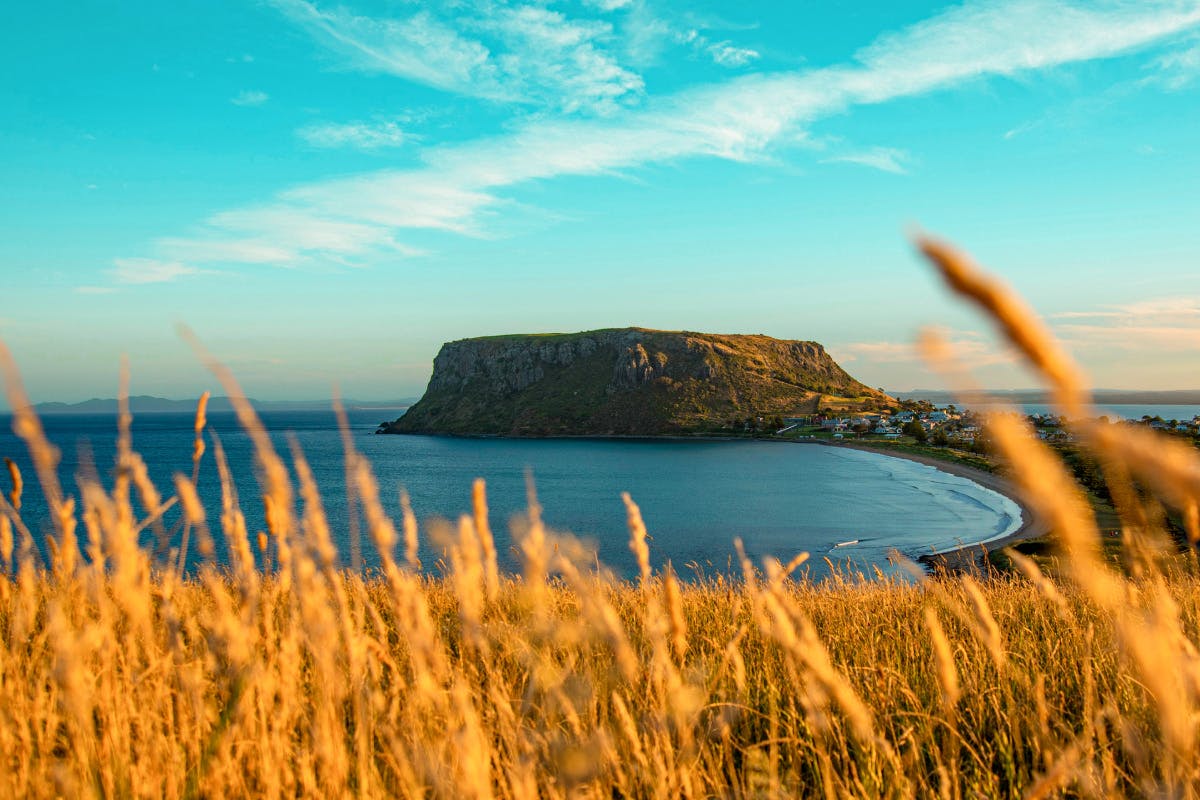Stanley and The Nut's Dramatic Coast