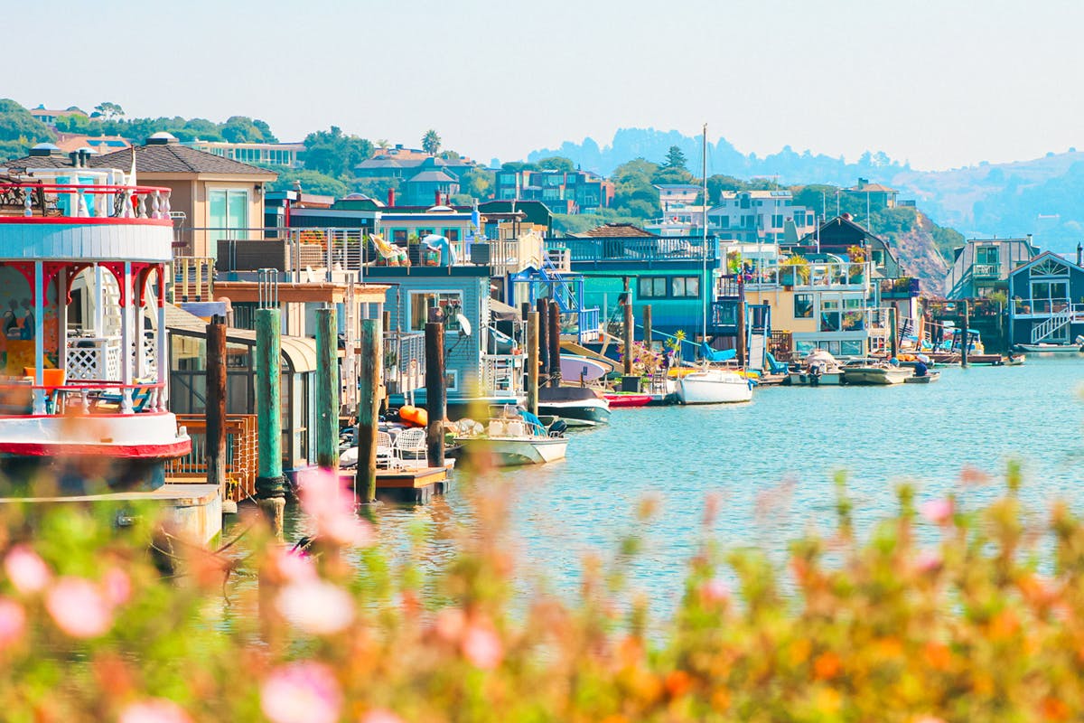 Muir Woods & Sausalito Escape