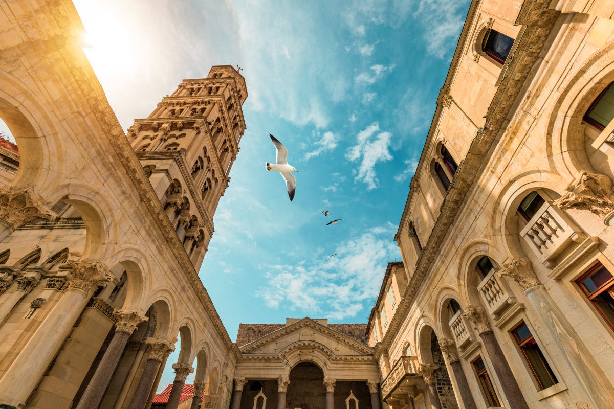 Diocletian Palace & Olive Oil Tasting in Split