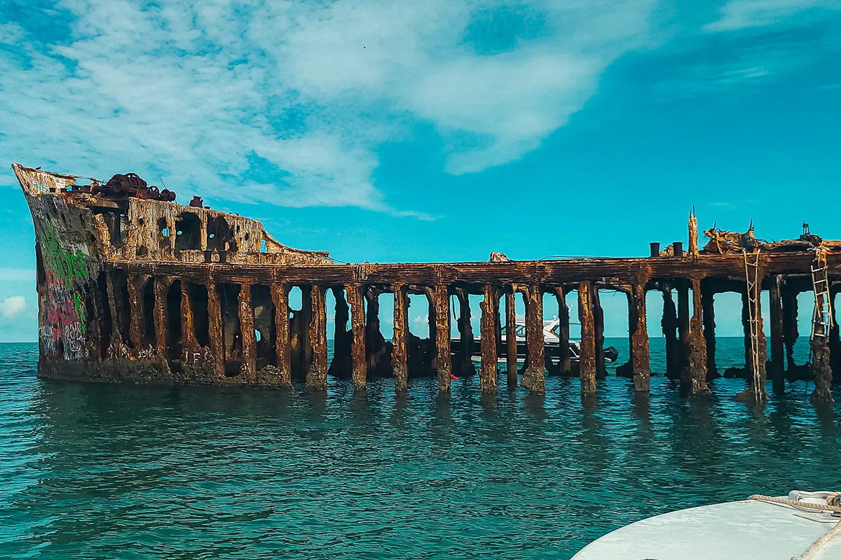 Bimini: Wrecks, Rays and Reef Sharks