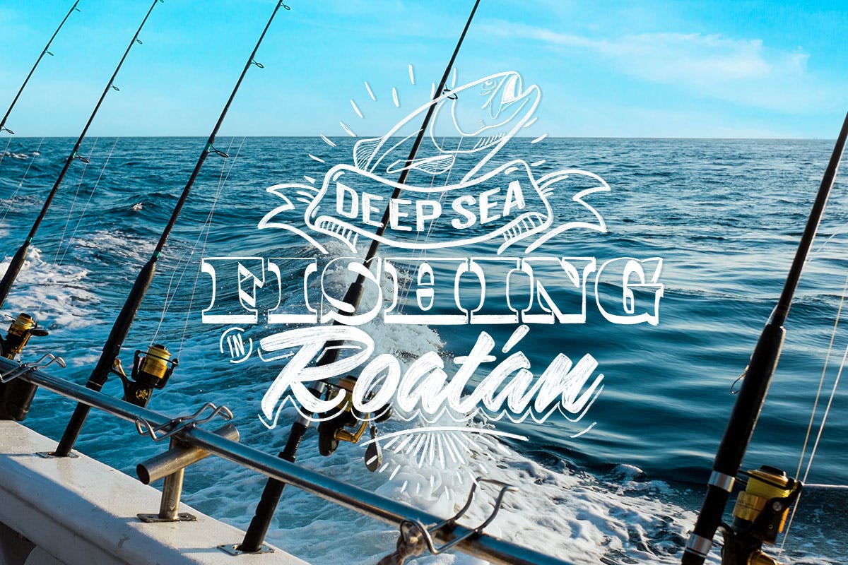 Deep Sea Fishing in Roátan