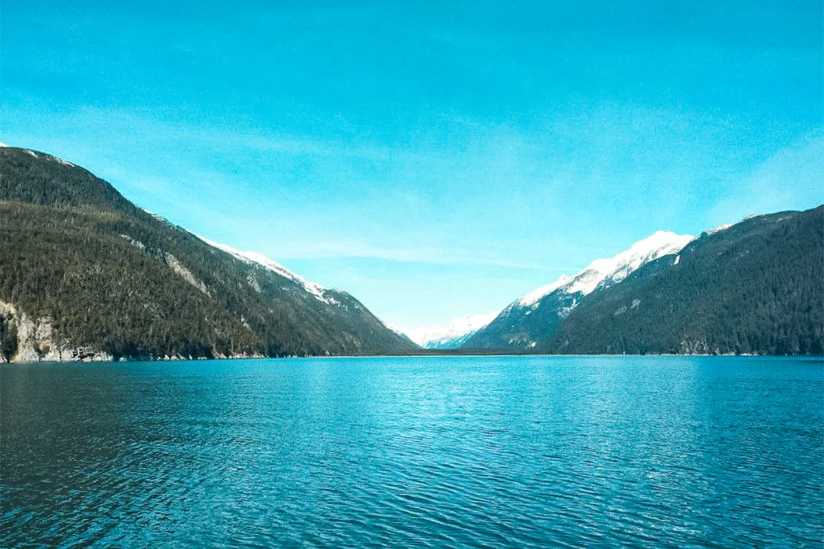 Wildlife & Waterfalls Scenic Cruise