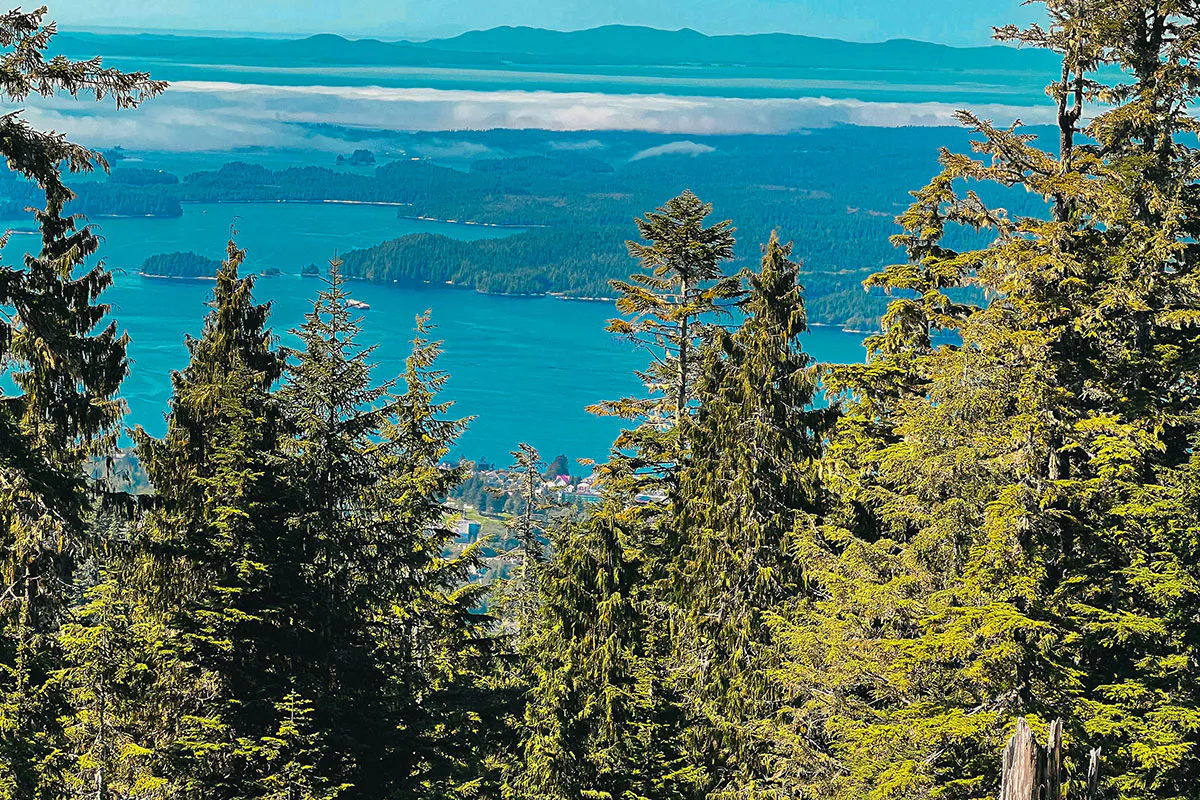 Great Bear Rainforest Mountain Trail Hike