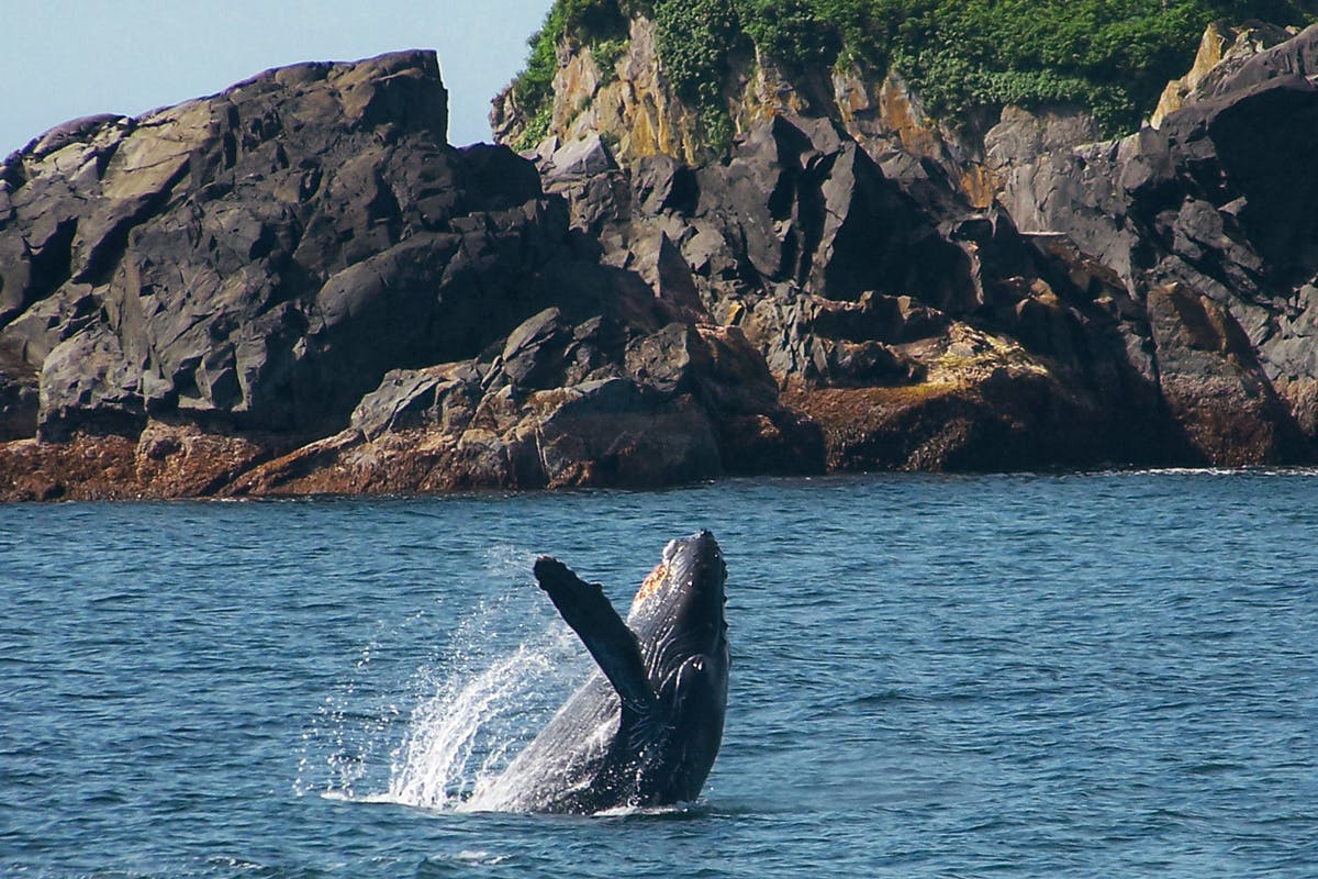 Private Wildlife Water Tour