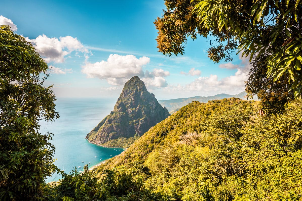  Catamaran Sailing to the Pitons