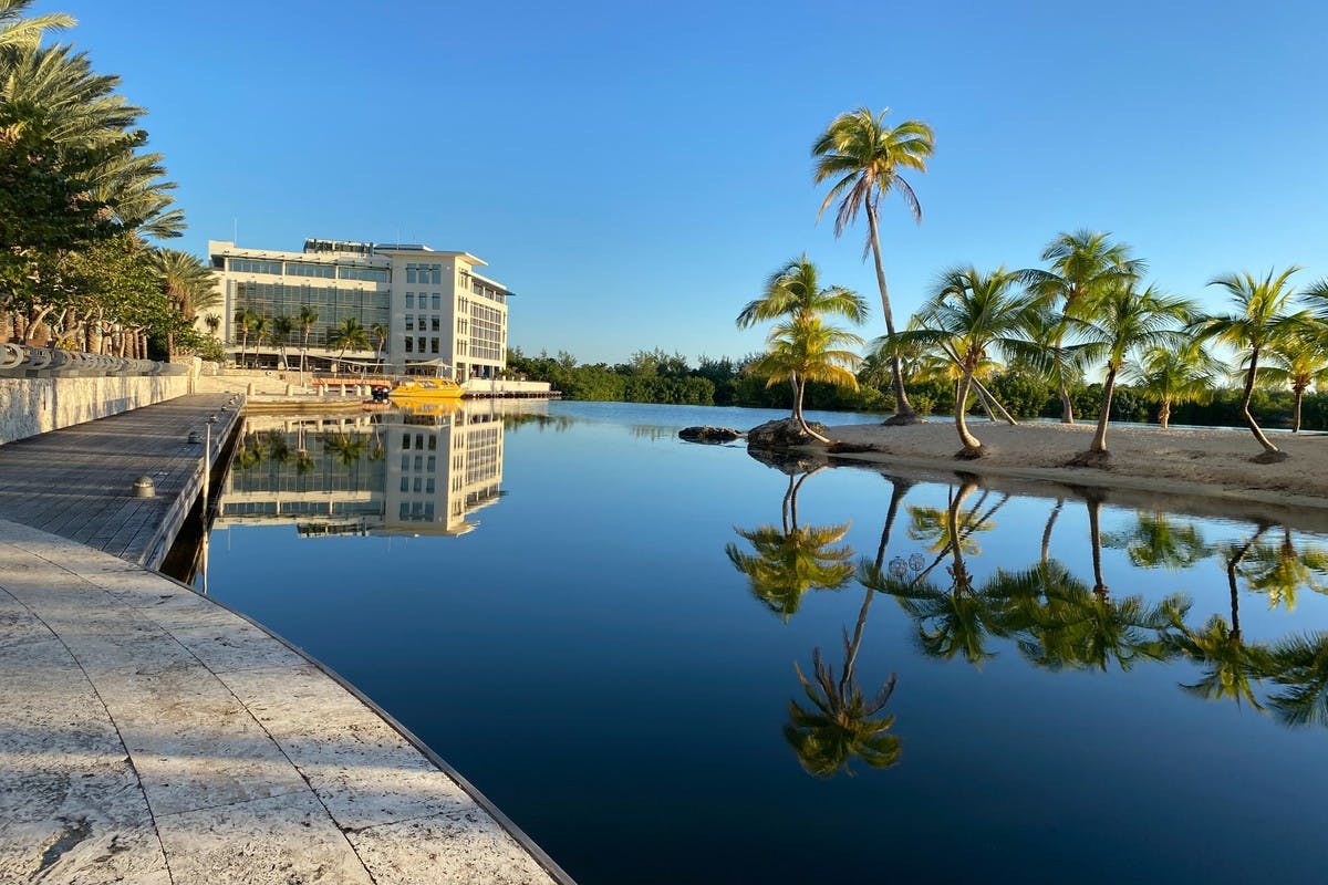 Mangrove Kayak Tour & Camana Bay