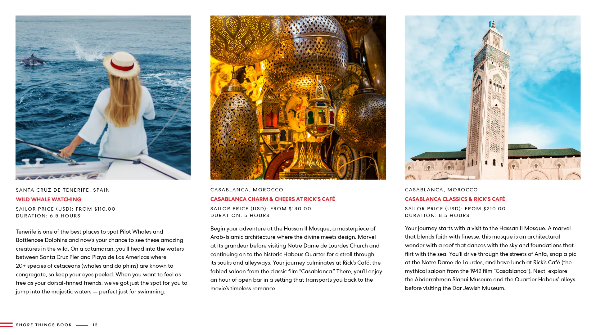 Shore Things Brochure