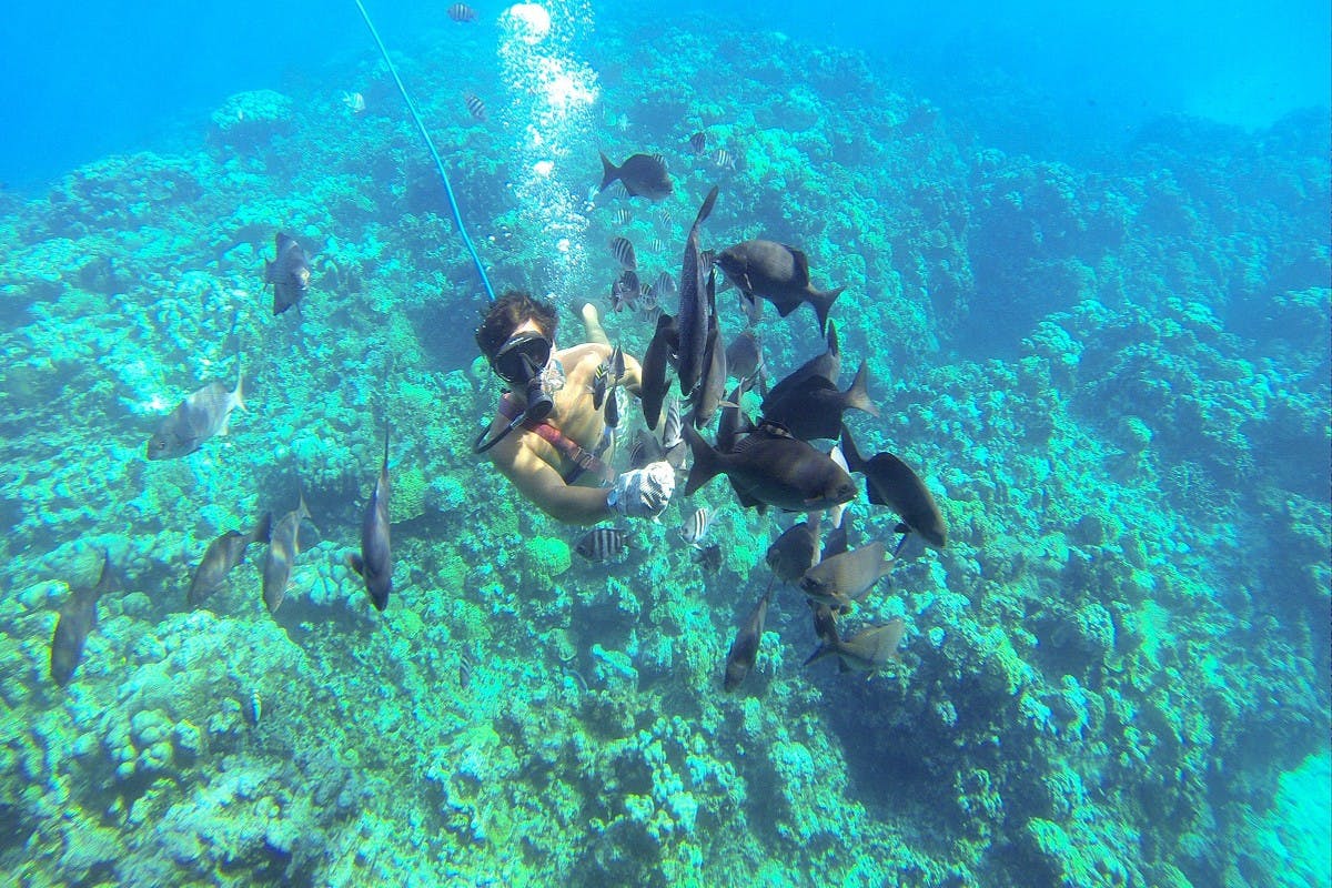 Nautilus Undersea Semi-Submersible Tour