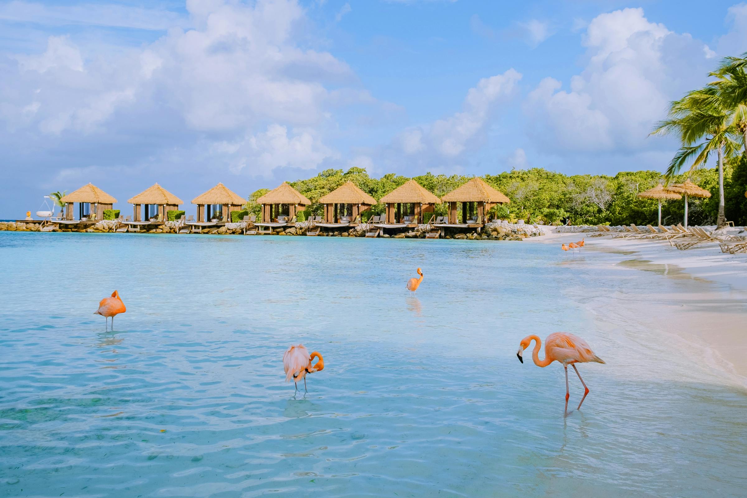 Aruba