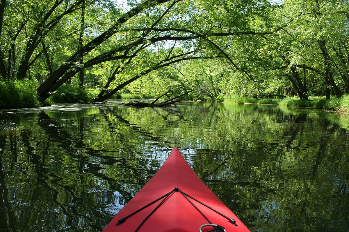 Cave & Mangrove Kayak Adventure