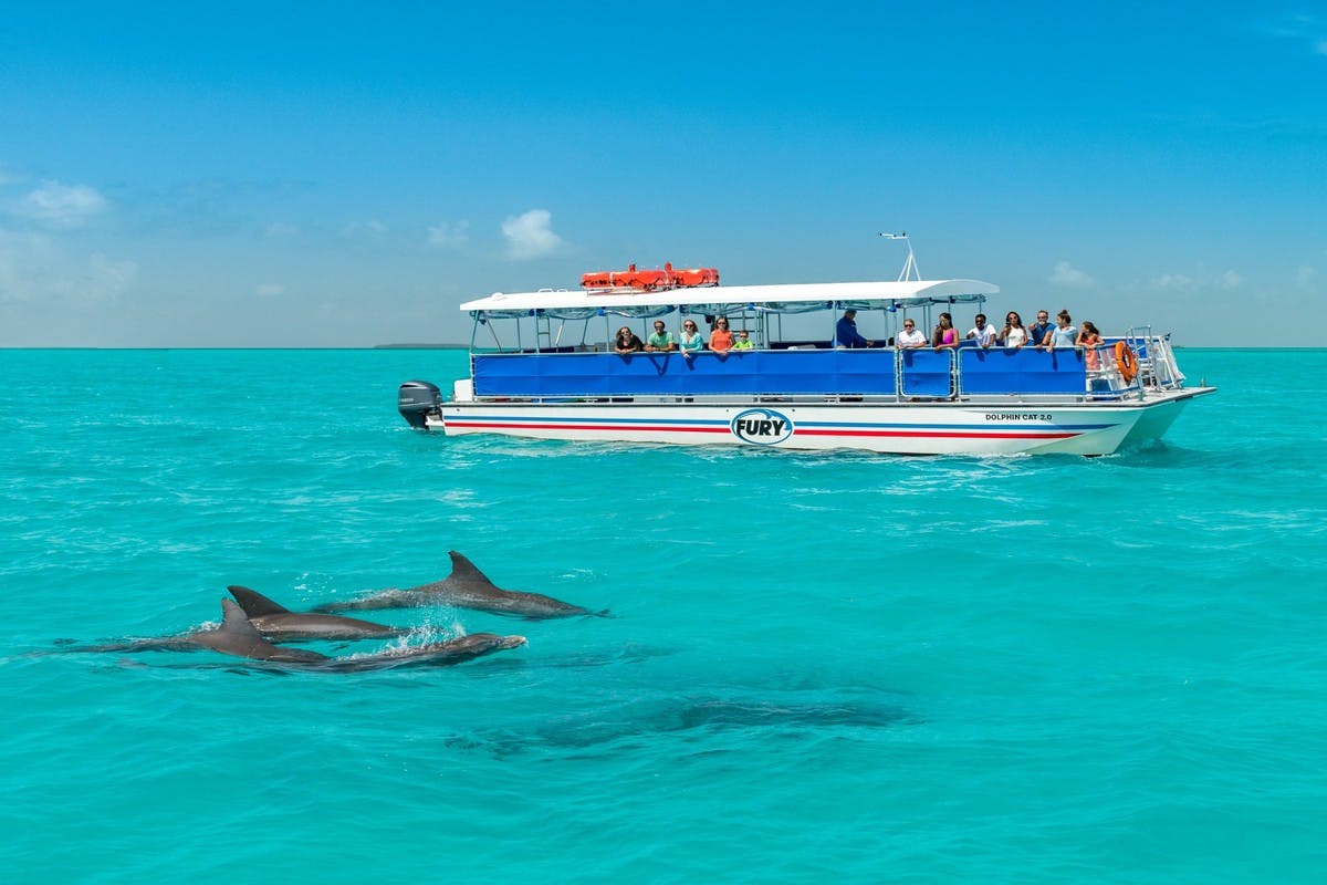 Dolphin Watch and Wildlife Snorkel