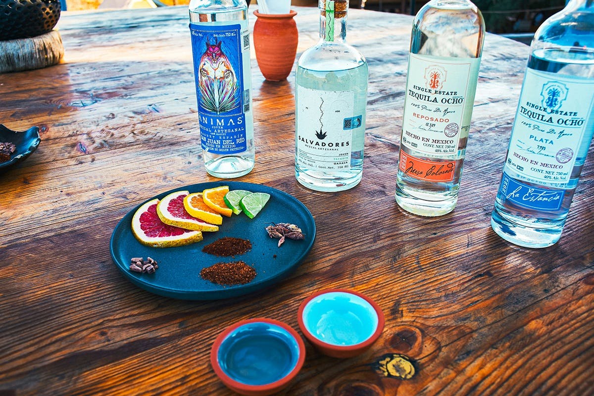 Baja Agave Spirits Tasting & Lunch
