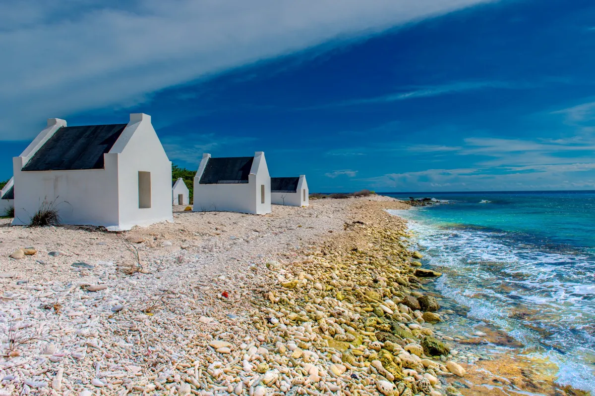 Bonaire Highlights Tour &amp; Sorobon Beach Day