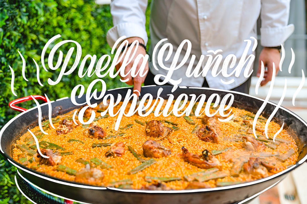 Sailing Albufera Lagoon and Paella Lunch