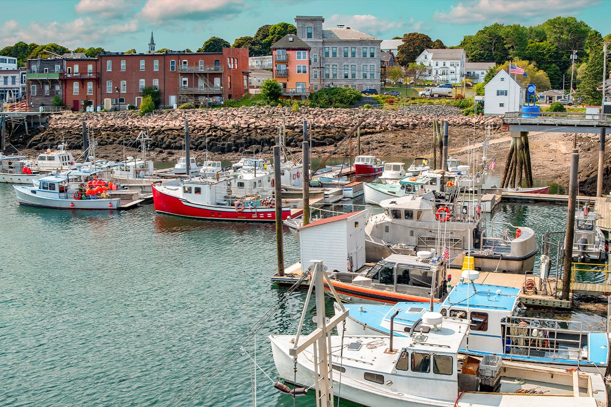 Lobster Traps & Tidal Tales