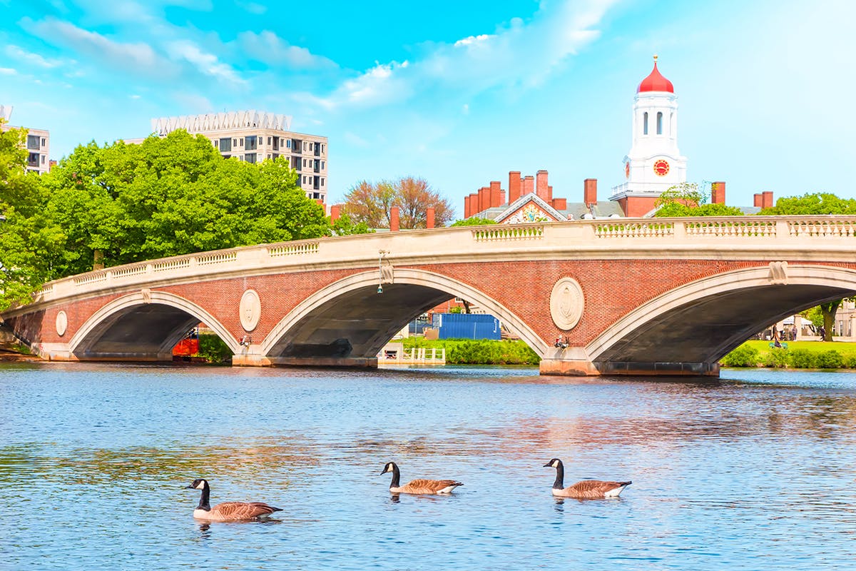 Crimson Chronicles: A Harvard Insider’s Tour
