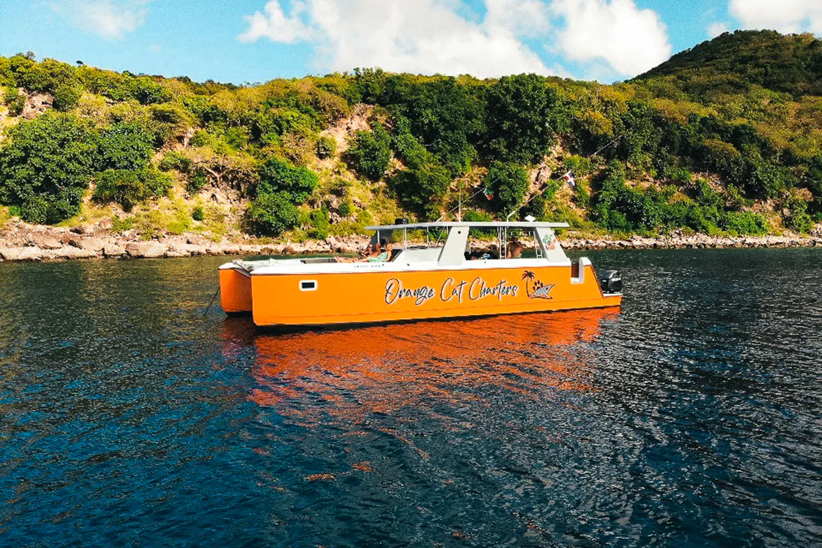 Coastlines, Cocktails, and St. Kitts Stories