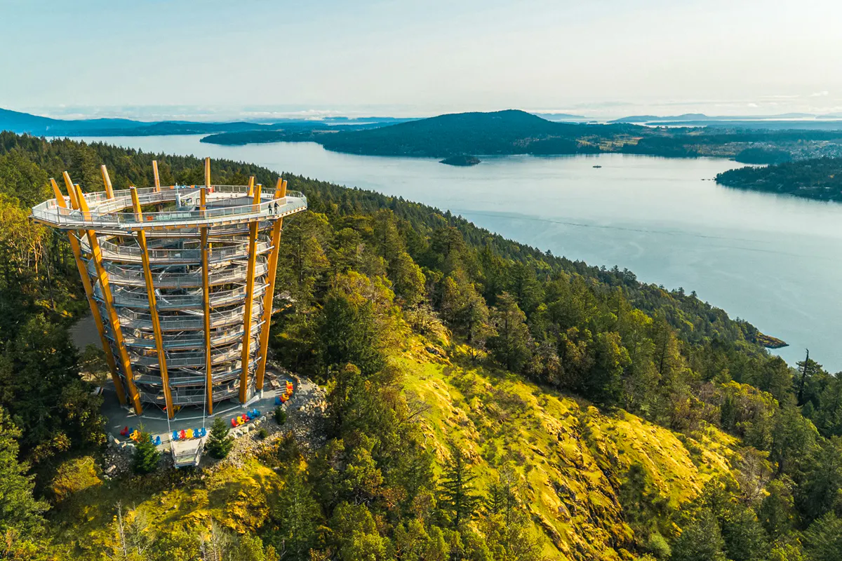 Malahat Skywalk & Swans Pub