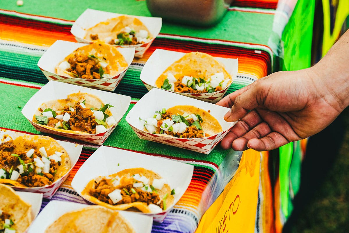 Authentic Taco Fiesta