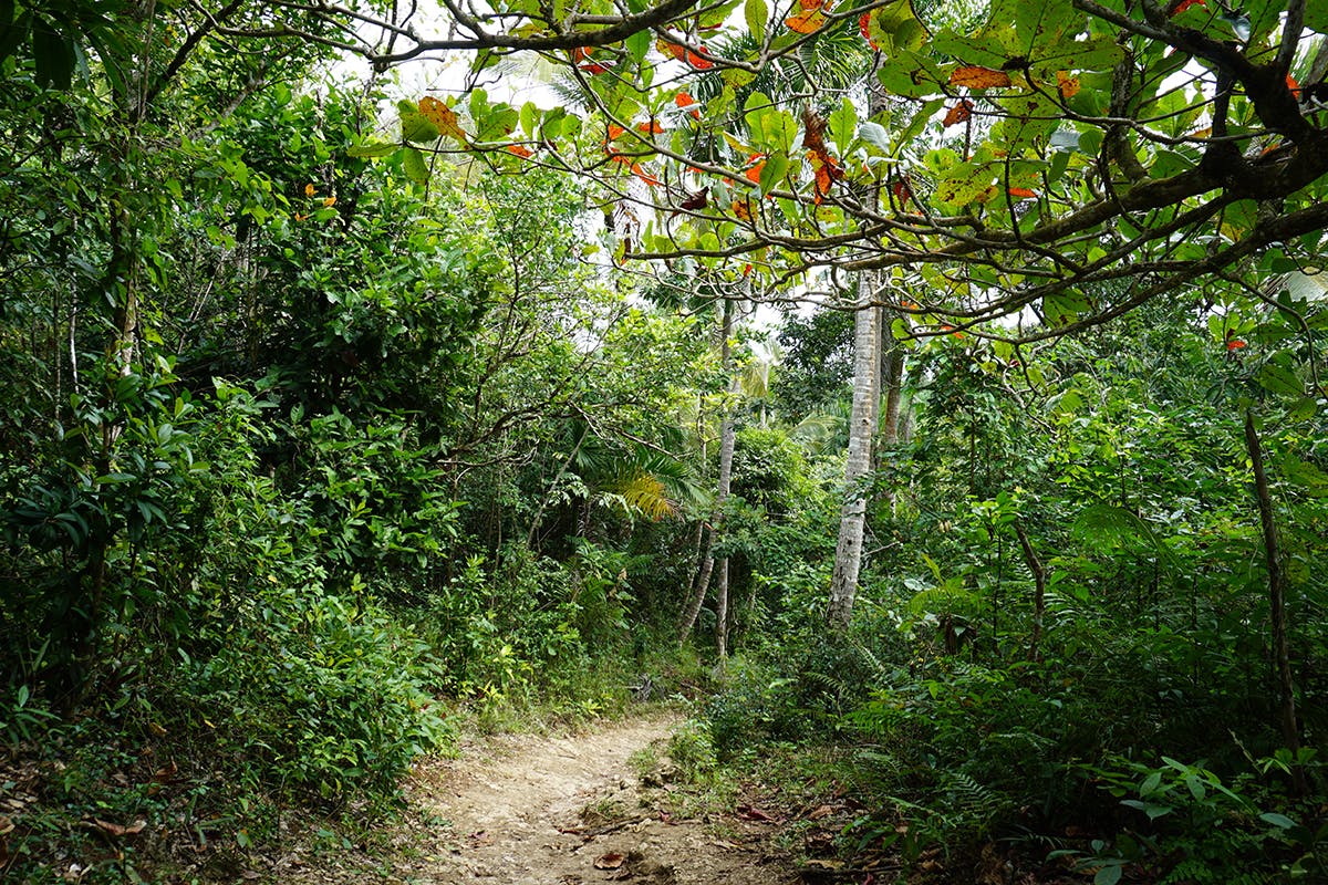 Las Galeras Hiking & Swimming Adventure