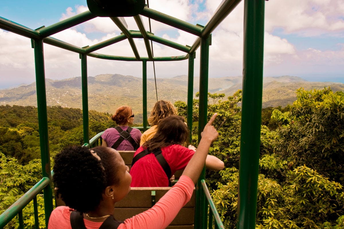 tram car over the rainforest