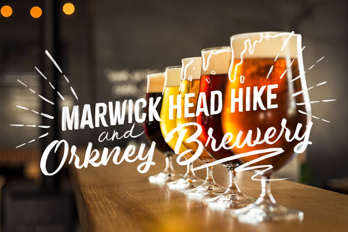 Marwick Head Hike and Orkney Brewery