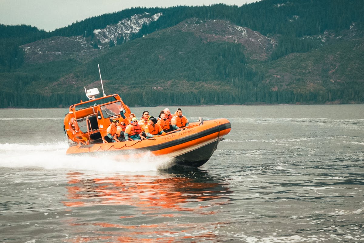 Alaska Ocean Raft Wildlife Adventure