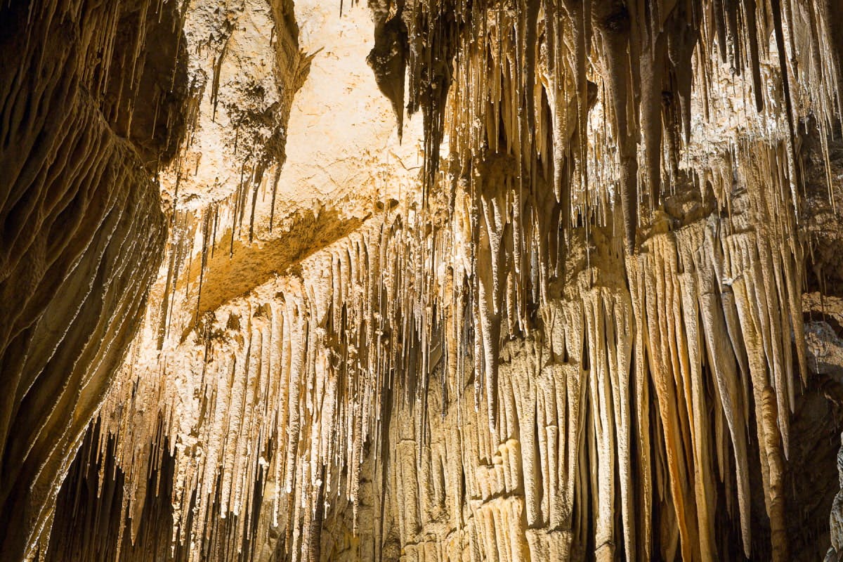 Hastings Cave Adventures & Hot Springs