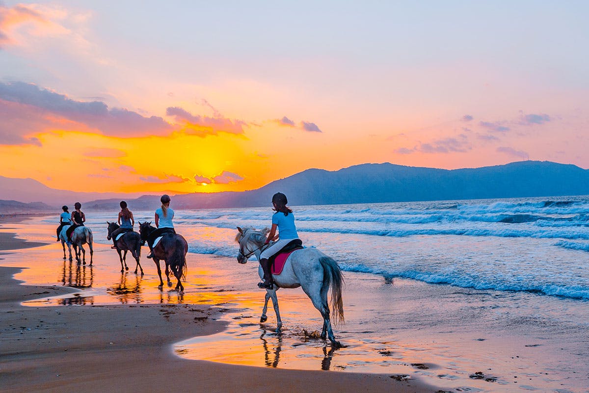 Horseback Ride in Paradise