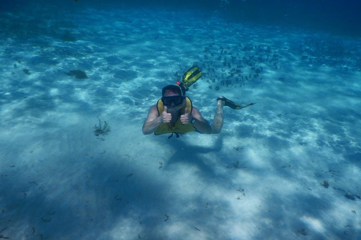 Barrier Reef Snorkel Adventure