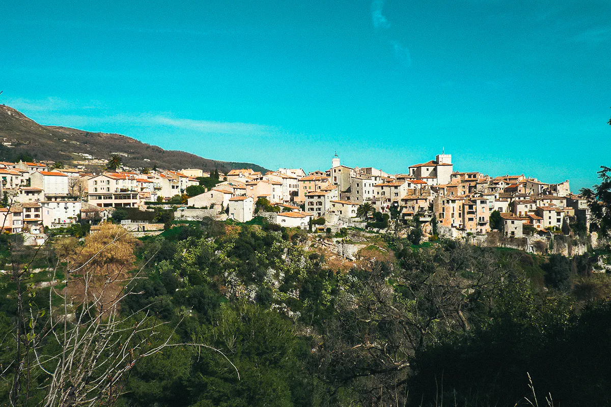 Olive Oil Tasting &amp; Village of Saint-Paul