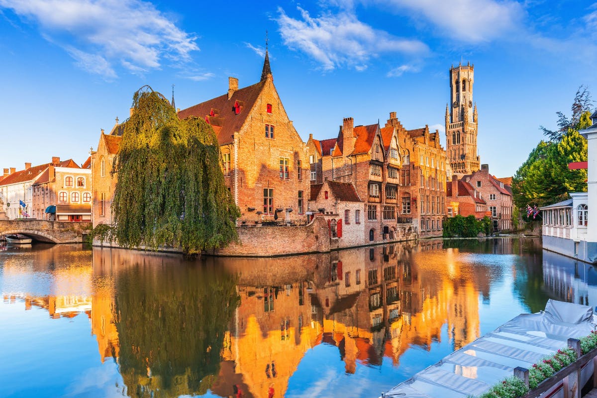 Brews, Bruges & Belgian Bites