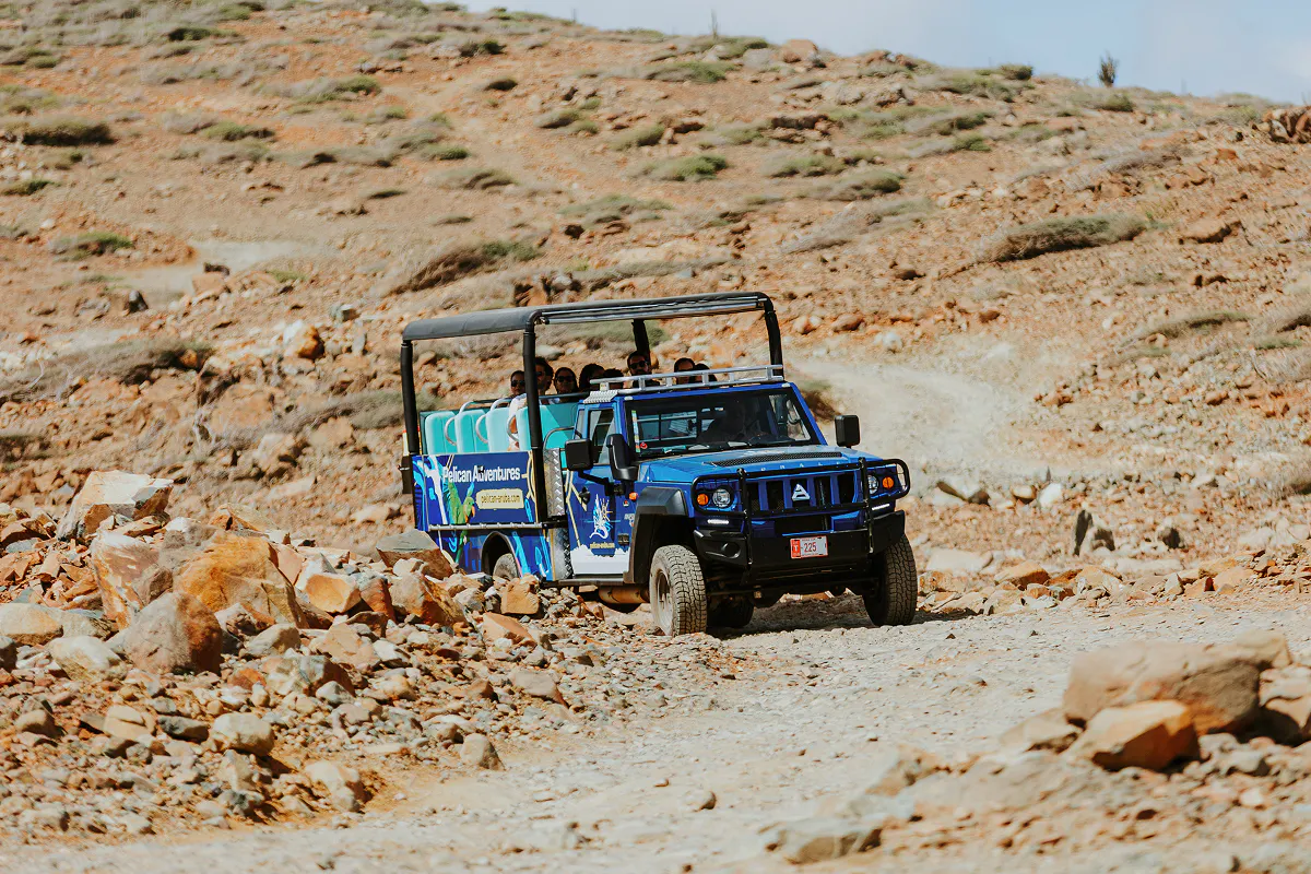 VIP Safari Truck &amp; Beach Picnic