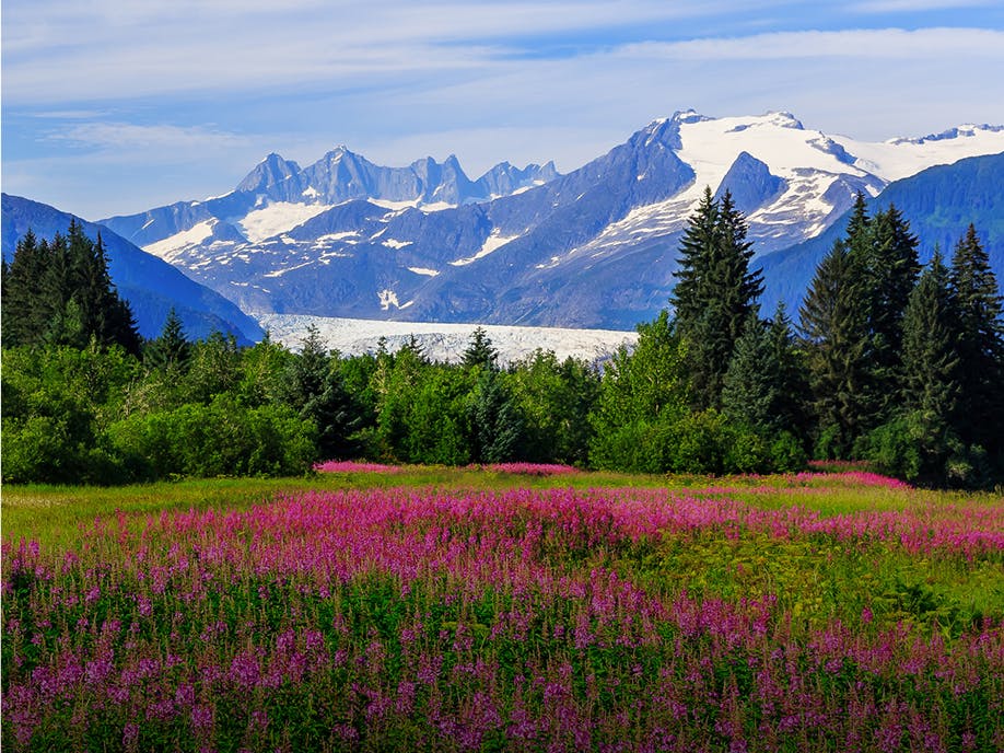 Alaska