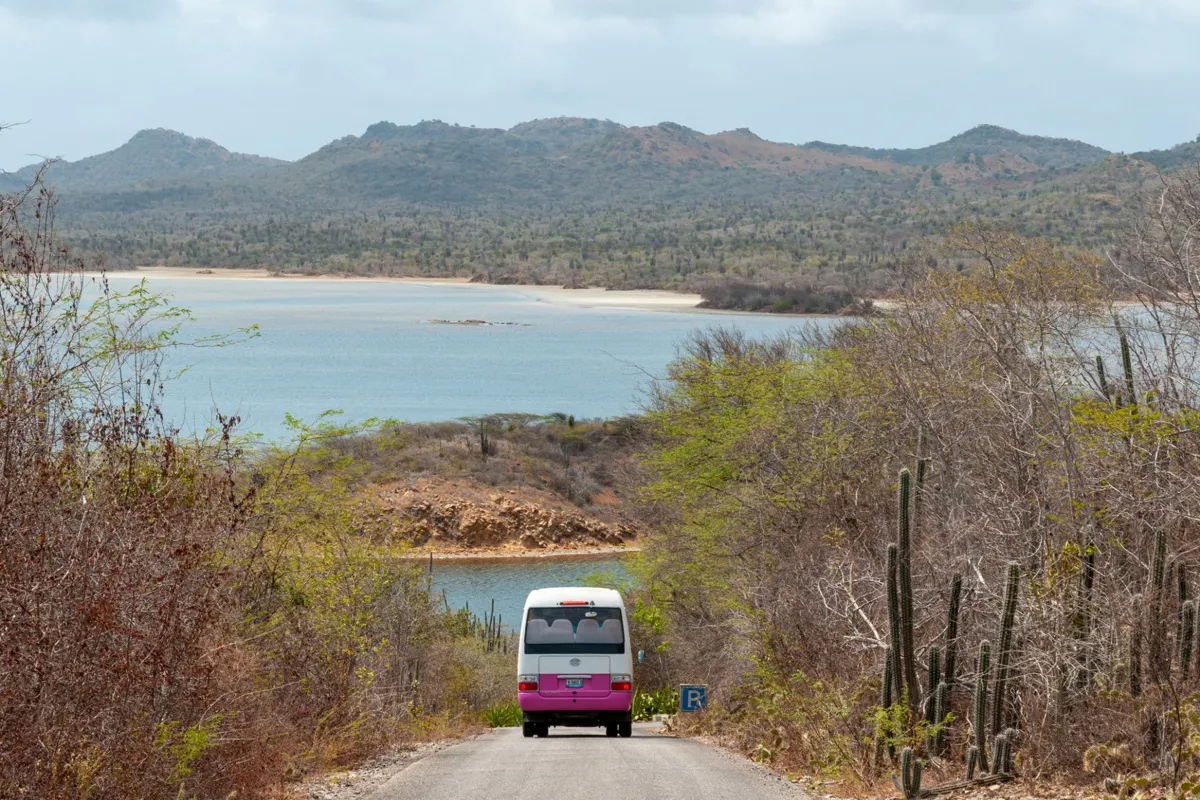 Bonaire Highlights: Flamingoes, Rincon &amp; History
