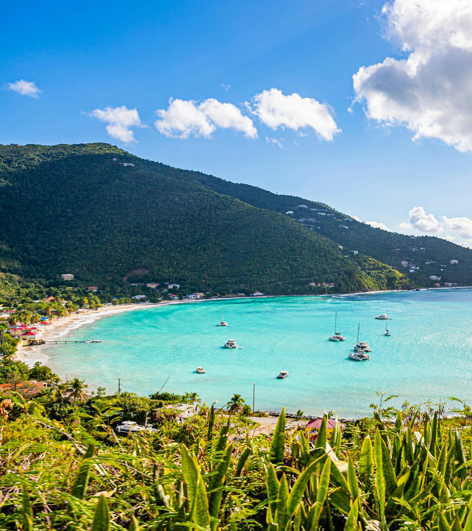 San Juan & St. Isles: Valentine’s Voyage