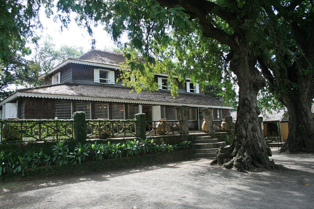 Layers of Flavors of Rum & Bananas