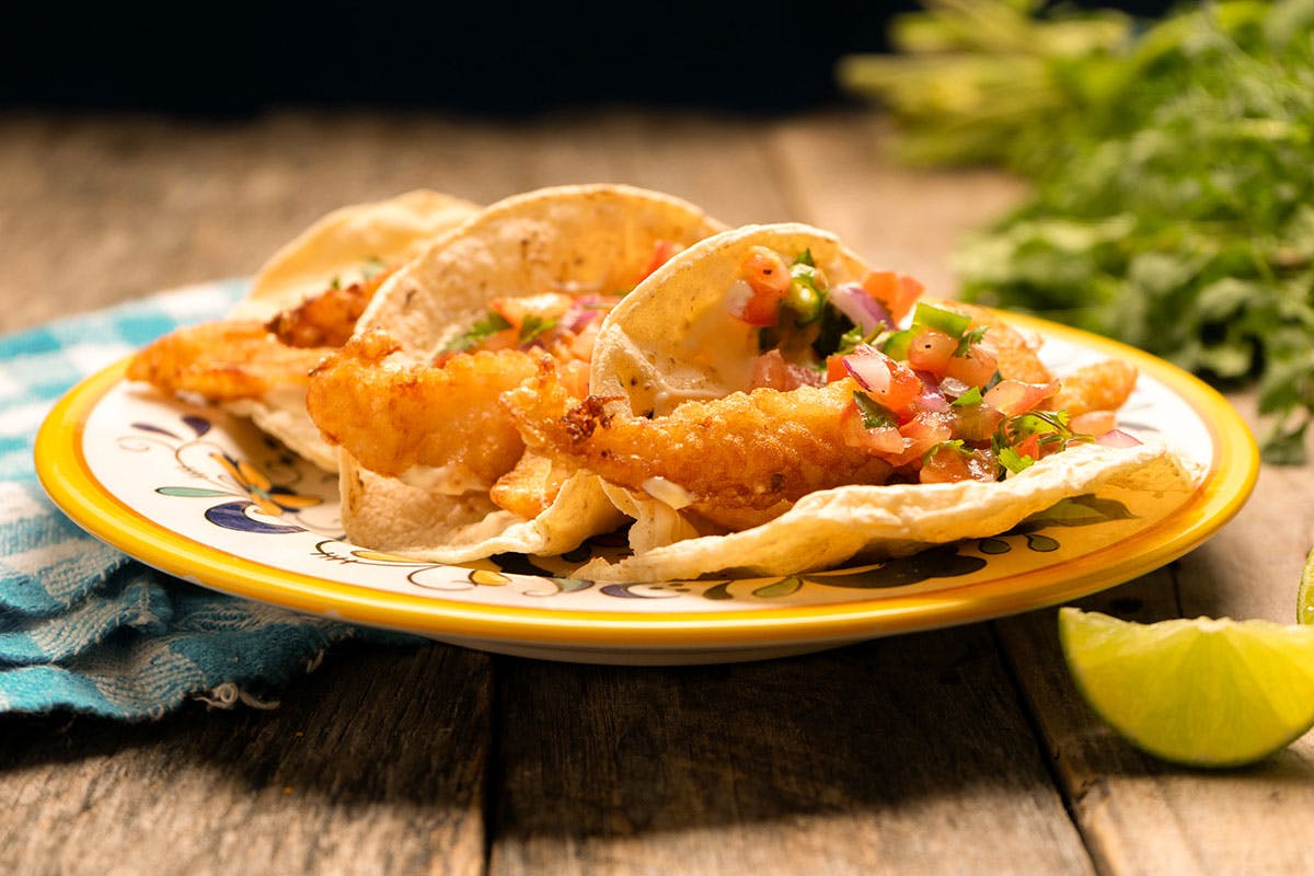 Zip Line & Gourmet Lunch