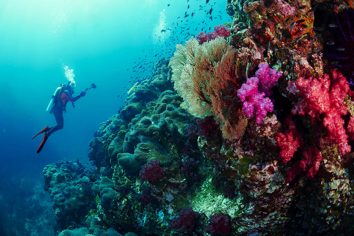 Scuba diver filming a coral reef