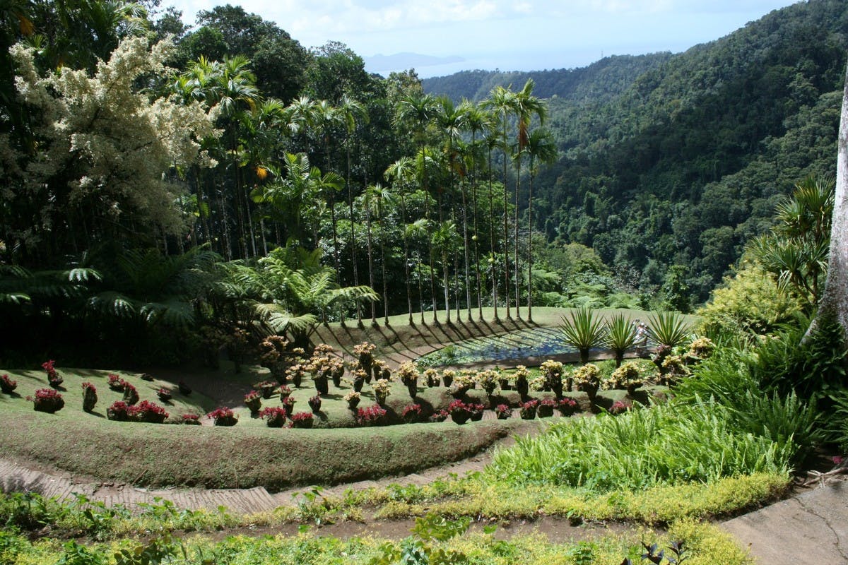 Martinique Art, Nature, & Spirits